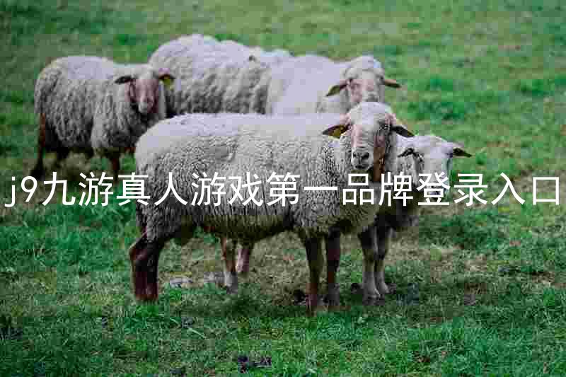 j9九游真人游戏第一品牌登录入口